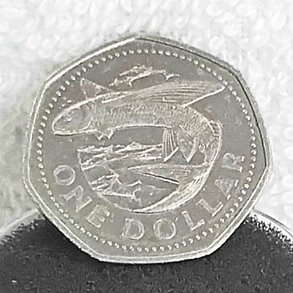 Circulated 2004 Barbados One Dollar Coin made of Copper/Nickel!! - Picture 1 of 3